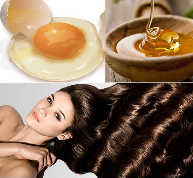 Как восстановить волосы в домашних условиях с медом