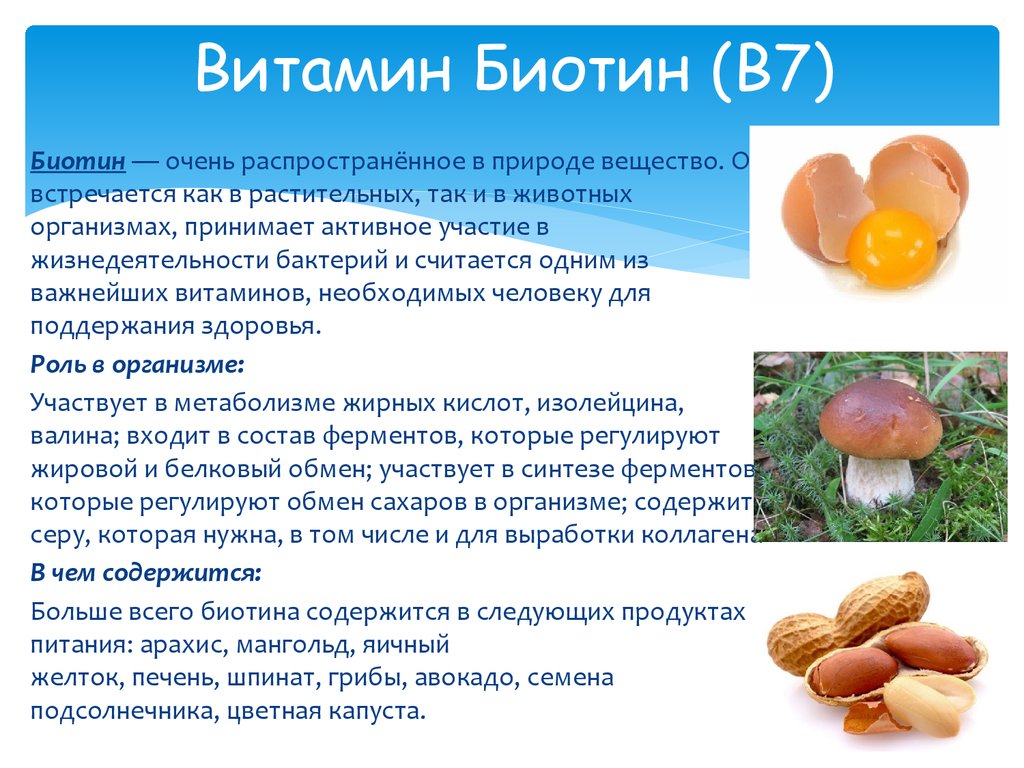 Грибы есть витамины. Витамин б7 биотин. Витамин в7 биотин. Биотин (витамин н, витамин в7). Дефицит биотина (витамина в7).