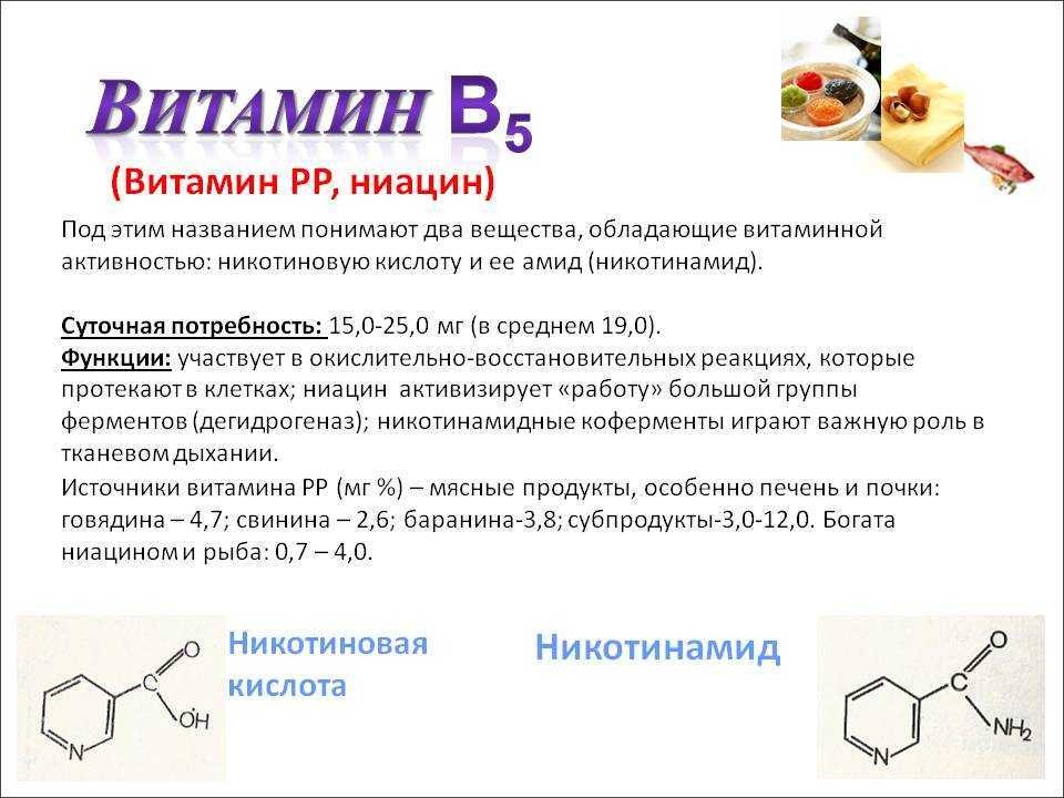 Пантотеновая кислота картинки