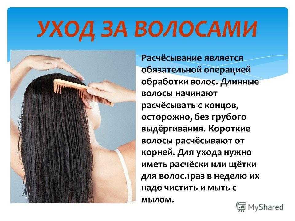 Волосы как за ними ухаживать советы врачей