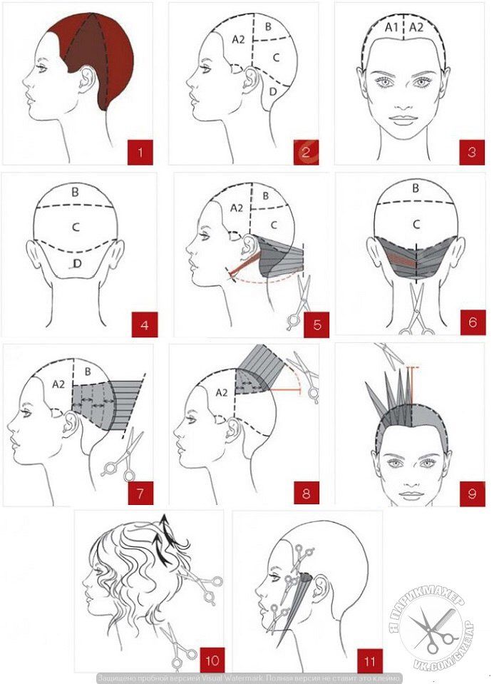 Технологическая карта стрижки градуированное каре