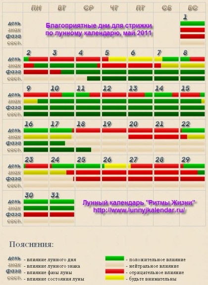 Оракул стрижка 2023 год