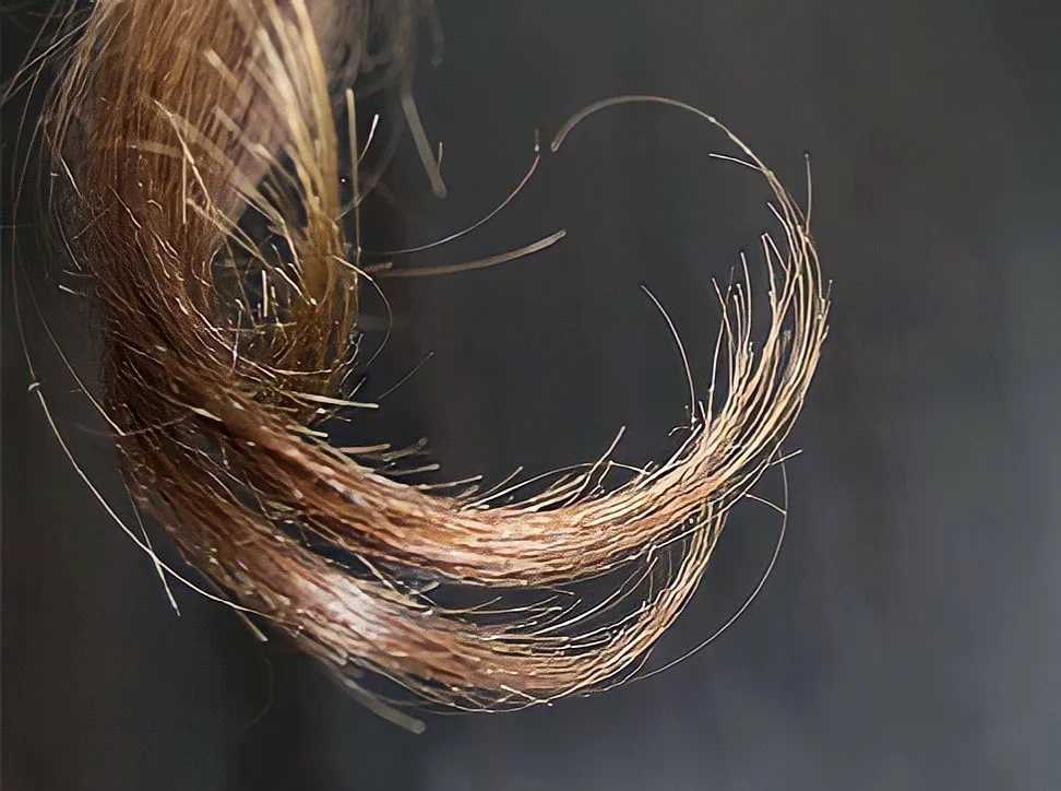 Правда что секущиеся волосы перестают расти