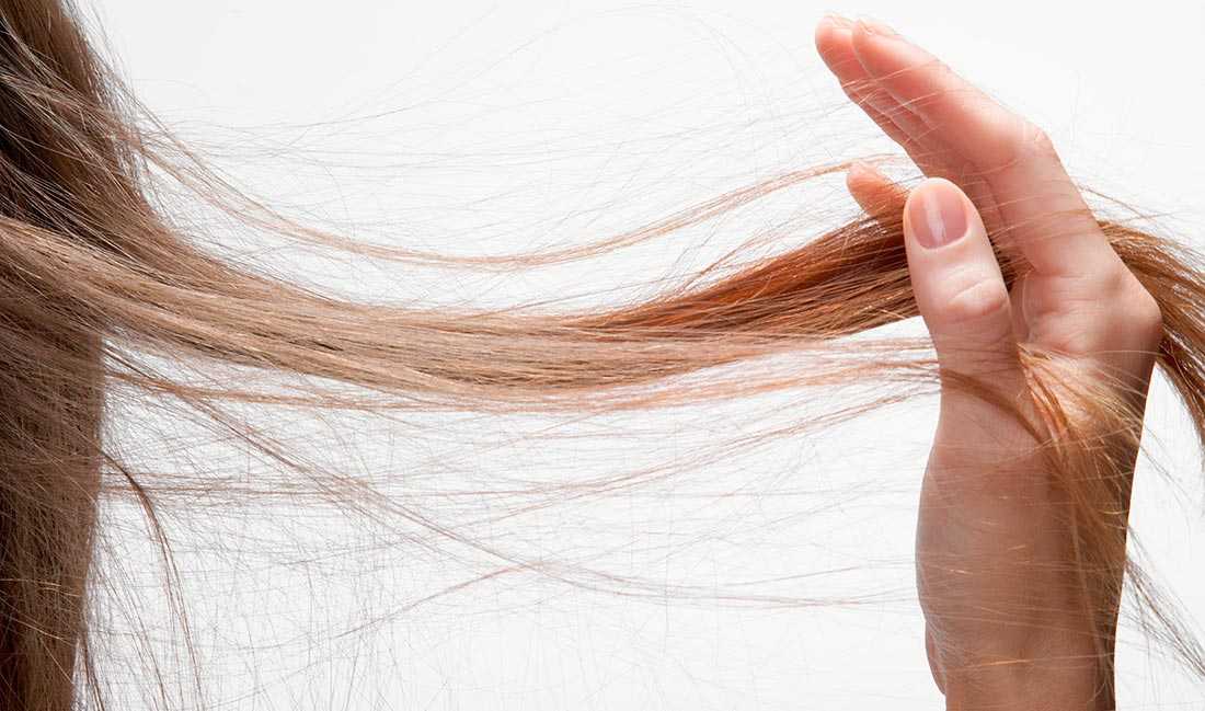 Что делать с сухими и тусклыми волосами