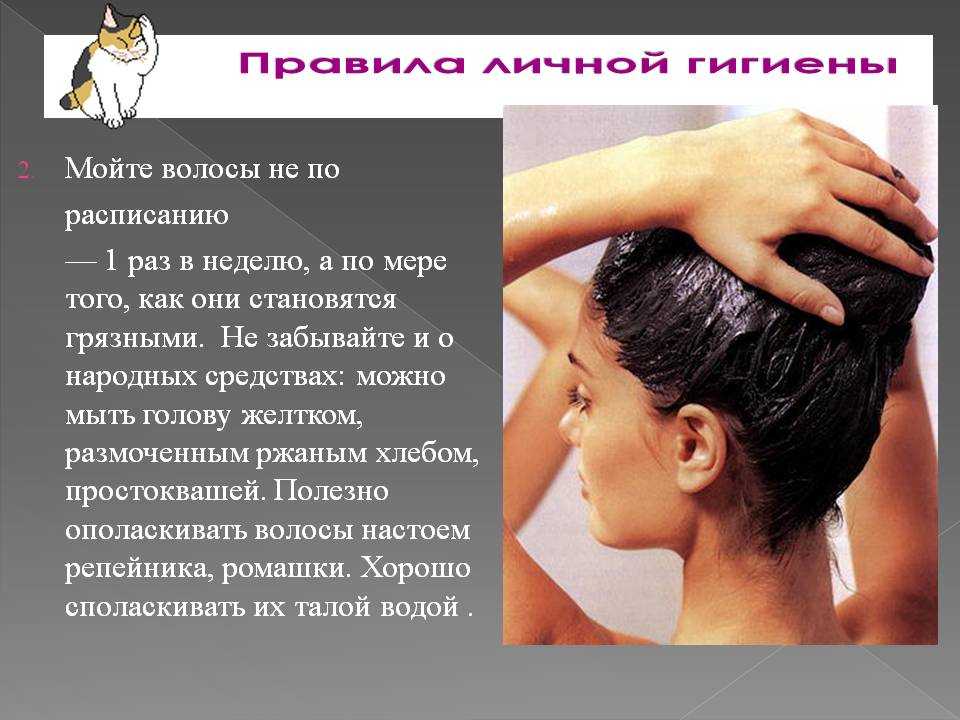 Как подразделяют ассортимент косметических средств для кожи головы и волос по назначению